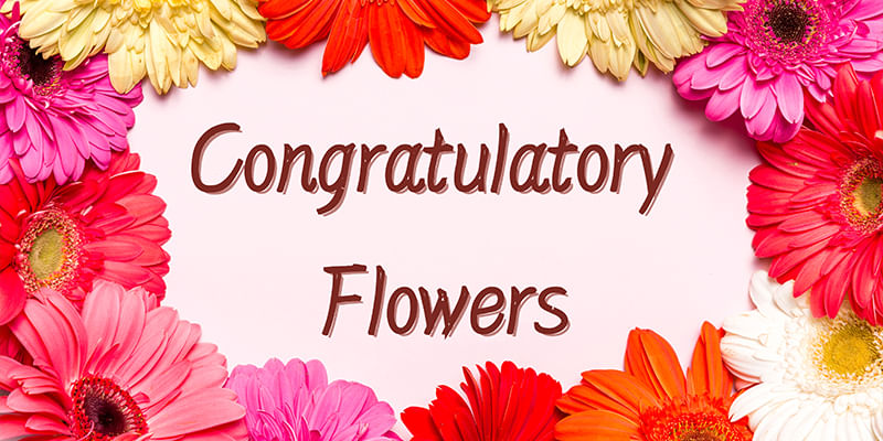 A Beginner's Guide to Choosing the Perfect Congratulation Flower Bouquet